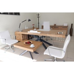 Lexus Executive Office Team