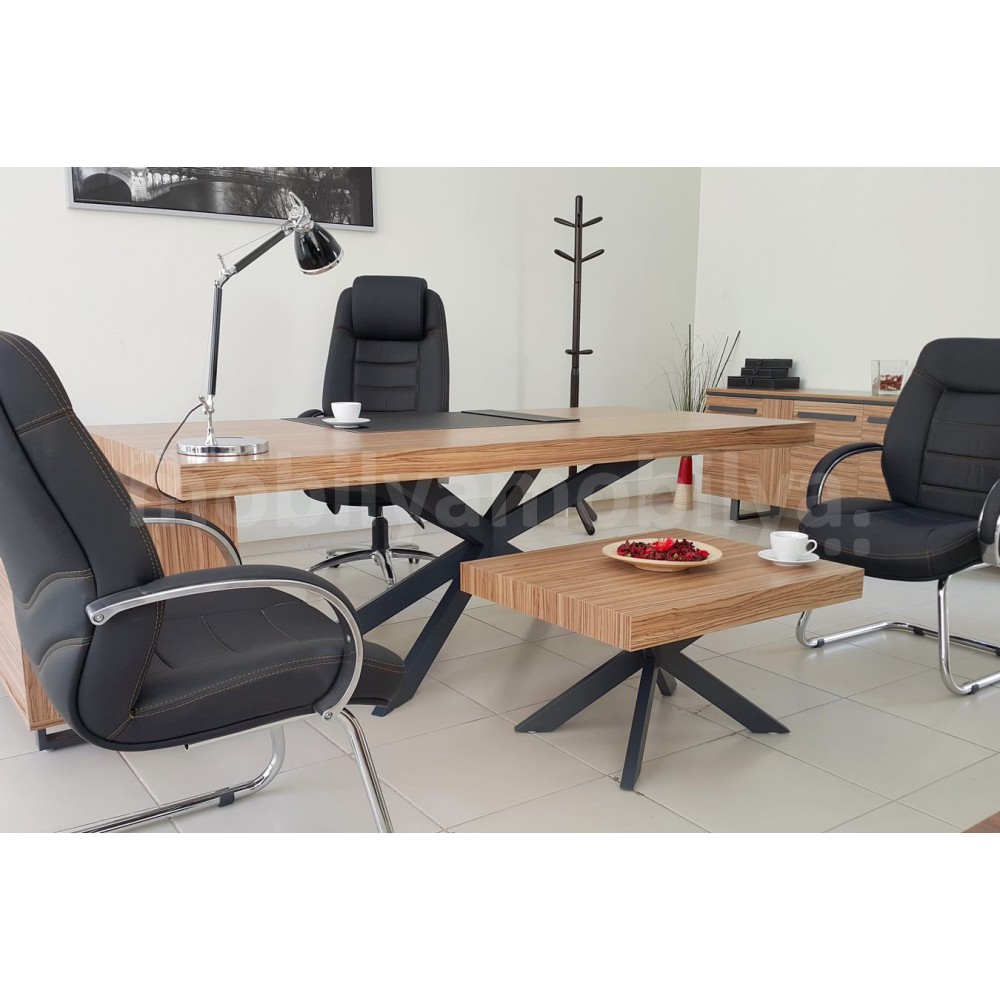 Lexus Executive Office Team