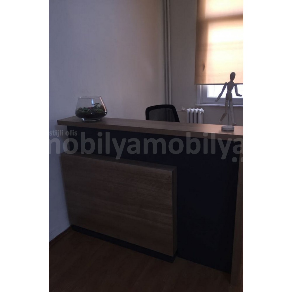 Ms. Taksim Office Furniture Tulips